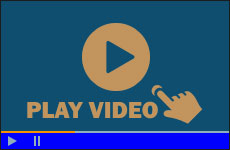 Vision Showcase  Video